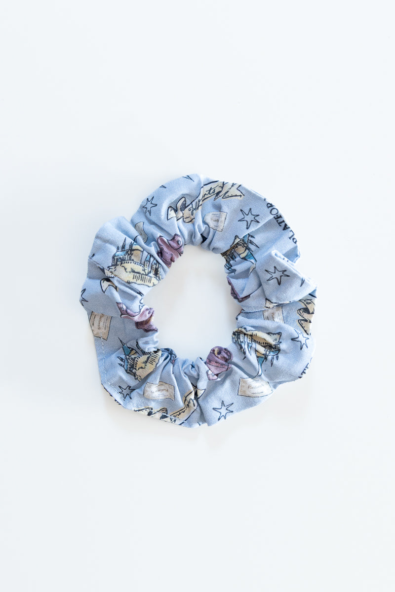 Scrunchies Harry Potter